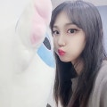 프로필