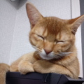 프로필