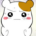 프로필