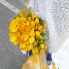 프로필