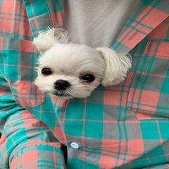 프로필