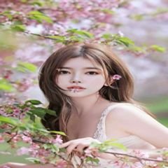 프로필