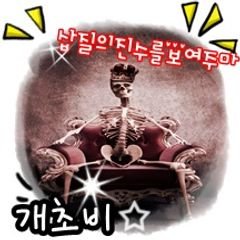 프로필