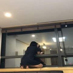 프로필