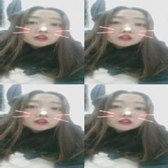 프로필