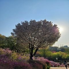 프로필