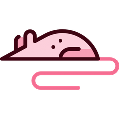 프로필