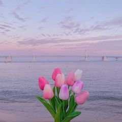 프로필