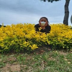 프로필