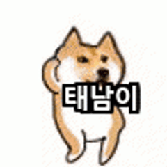 프로필
