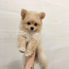 프로필
