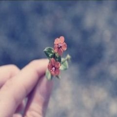 프로필