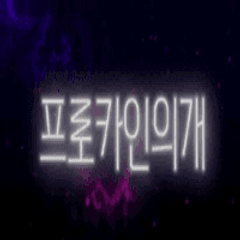 프로필