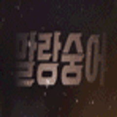 프로필