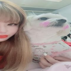 프로필