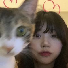프로필