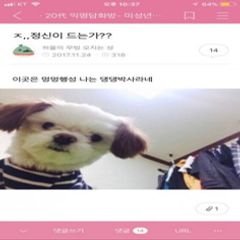 프로필