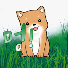 프로필