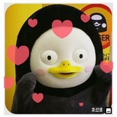프로필