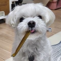 프로필
