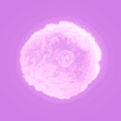 프로필