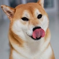 프로필