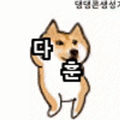 프로필