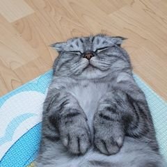프로필