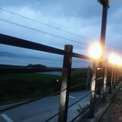 프로필