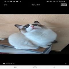 프로필