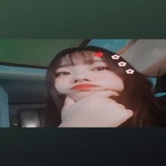 프로필