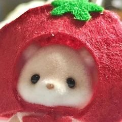 프로필