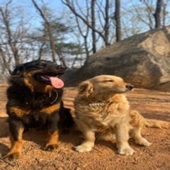 프로필