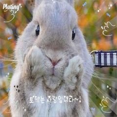 프로필