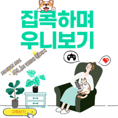 프로필