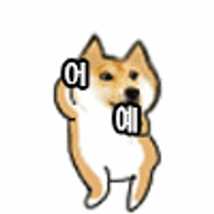 프로필