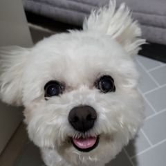 프로필