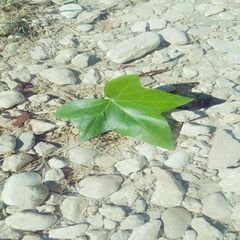 프로필