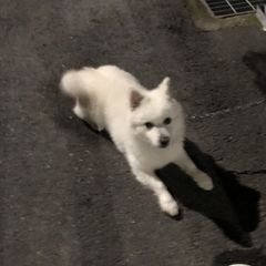 프로필