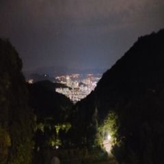 프로필