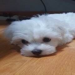 프로필