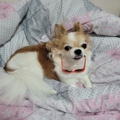 프로필