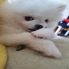 프로필