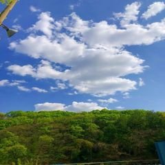프로필
