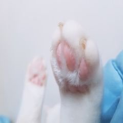 프로필