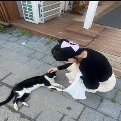 프로필