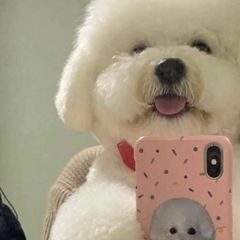 프로필