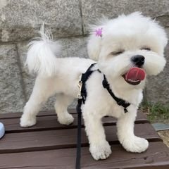 프로필