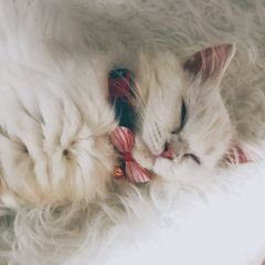 프로필