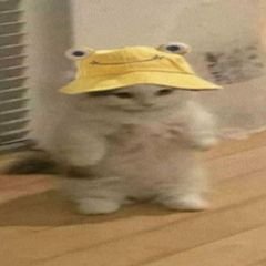 프로필